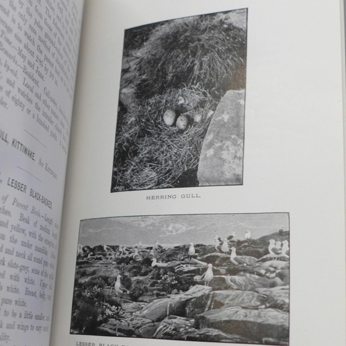 688 - Three volumes; British Birds' Nests, Kearton, published by Cassell & Co., 1898, Wonders of the Bird ... 
