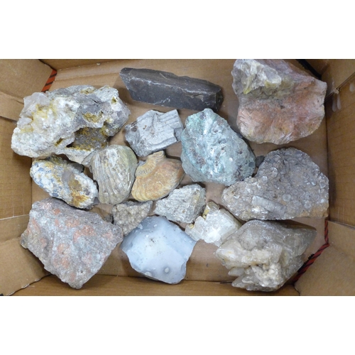 764 - Two boxes of fossils, minerals and rocks **PLEASE NOTE THIS LOT IS NOT ELIGIBLE FOR POSTING AND PACK... 