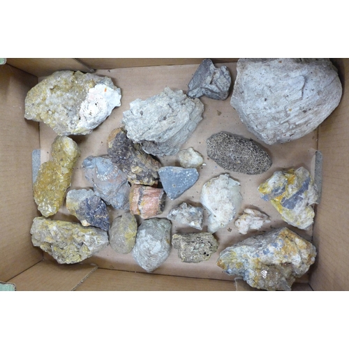 764 - Two boxes of fossils, minerals and rocks **PLEASE NOTE THIS LOT IS NOT ELIGIBLE FOR POSTING AND PACK... 