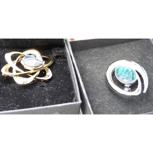 889 - A collection of mother of pearl and abalone jewellery including some silver