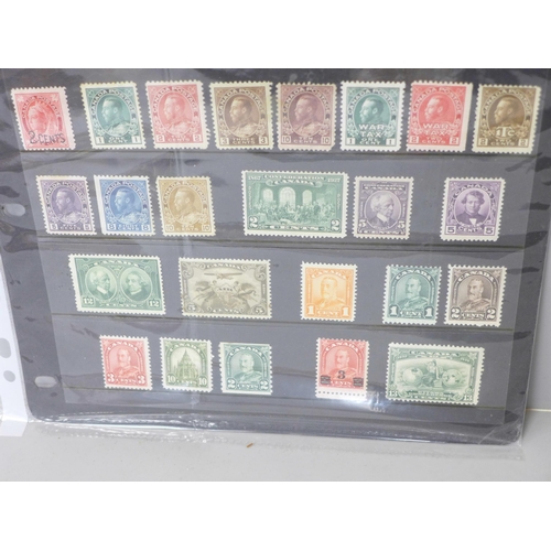 874 - Stamps; early mint Canada stamps on two stock sheets with a catalogue value of over £1,700