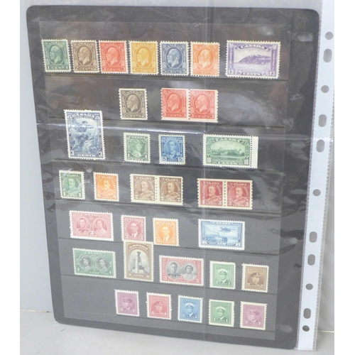 874 - Stamps; early mint Canada stamps on two stock sheets with a catalogue value of over £1,700