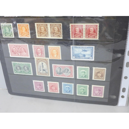 874 - Stamps; early mint Canada stamps on two stock sheets with a catalogue value of over £1,700