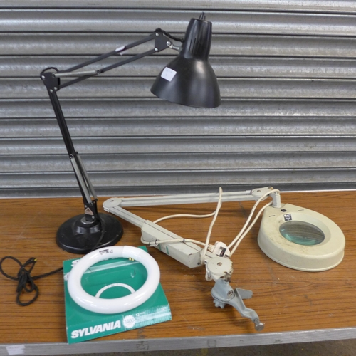 2423 - A magnifying lamp and an anglepoise style lamp