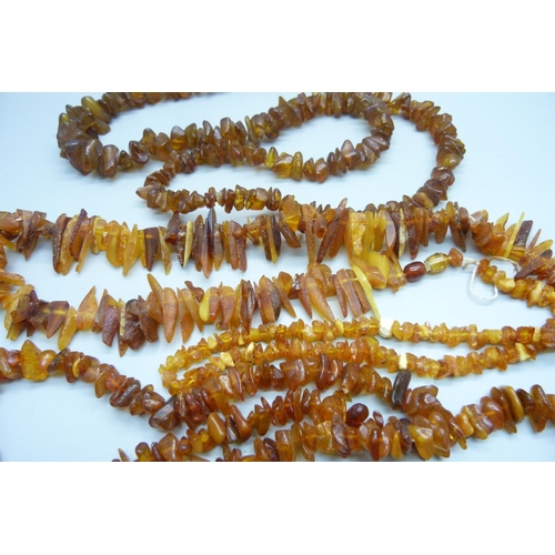 1130 - Three amber necklaces, one broken, requires re-stringing