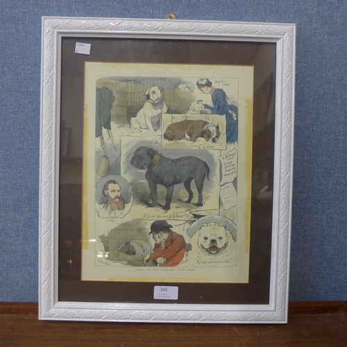 345 - A Charles Burton Bamber hand coloured print, Notes at a Bulldog Club, framed