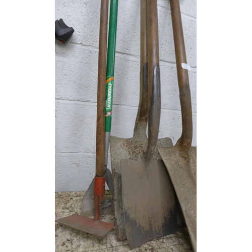 2321 - A bundle of garden tools including two shovels, a spade and a hoe