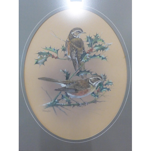 309 - William Lees, study of two birds amongst hollie, watercolour, framed