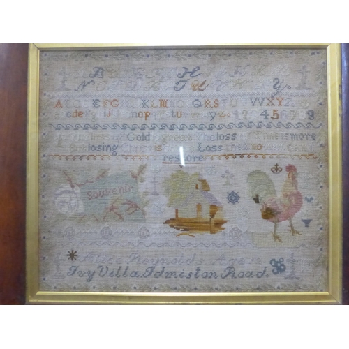 337 - A 19th Century sampler by Ivy Villa and two portraits, all framed