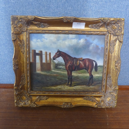 315 - A portrait of a stallion, oil on board, framed