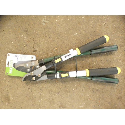 2231 - Two telescopic loppers including Hilka and payless * this lot is subject to VAT