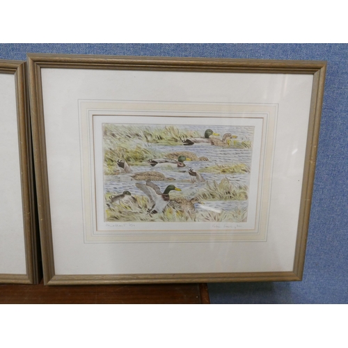 232 - A pair of signed limited edition Peter Partington (b.1941) etching, Mallards and Goldeneye, framed