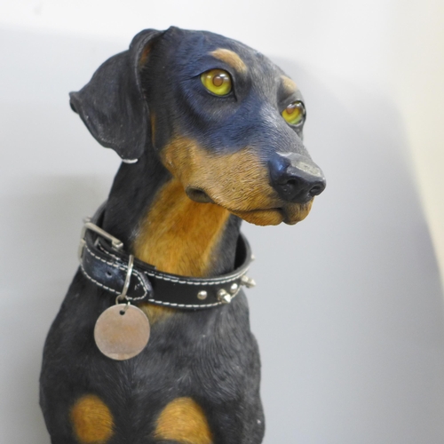 763 - A large Country Artists model of a doberman - Zac **PLEASE NOTE THIS LOT IS NOT ELIGIBLE FOR POSTING... 