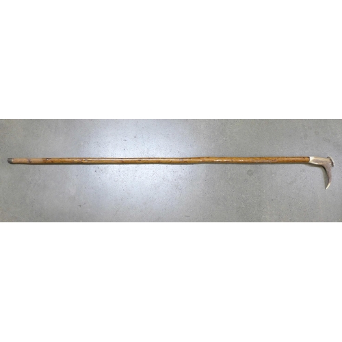 802 - A walking stick with antler handle