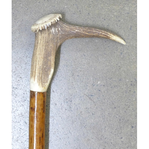 802 - A walking stick with antler handle