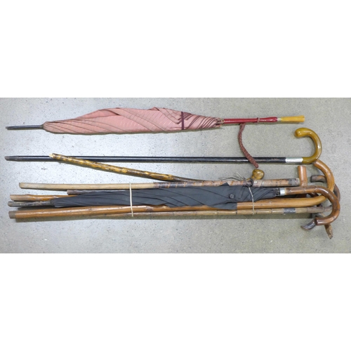 803 - A collection of walking sticks including one silver mounted and two umbrellas