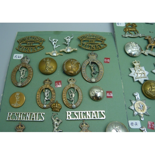 844 - Royal Corps of Signals badges and other Regimental badges including Queen's Own West, Royal Regiment... 