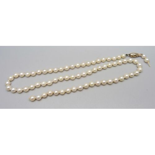 990 - A string of pearls with 9ct gold clasp, require re-stringing