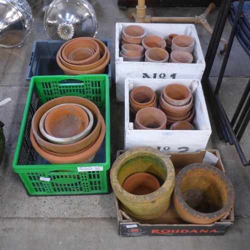 191 - Assorted terracotta plant pots