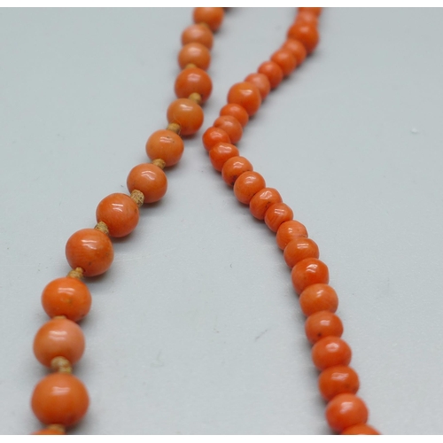 1017 - Four coral necklaces, one with 9ct gold fastener