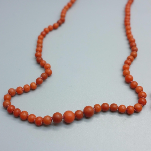 1017 - Four coral necklaces, one with 9ct gold fastener