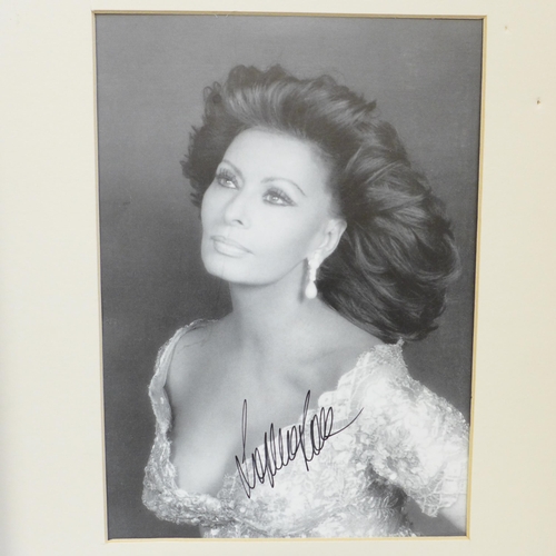 611 - Film star autographs; Angela Lansbury signed display and Sophia Loren signed display