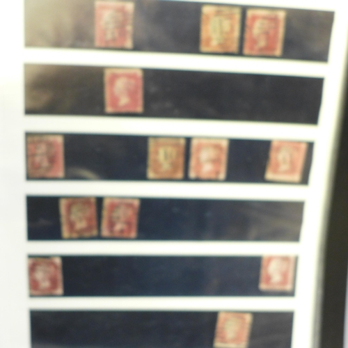 664 - Stamps; a file of GB Queen Victoria 1d reds, imperforated and perforated, loose and on cover