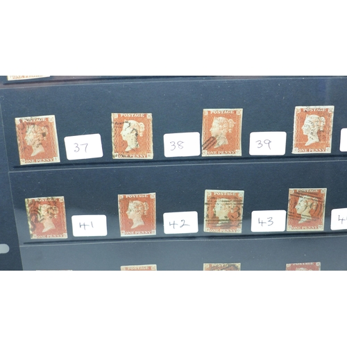 794 - Stamps; a stocksheet of GB SG8 1d imperforated, plates 29 to 52