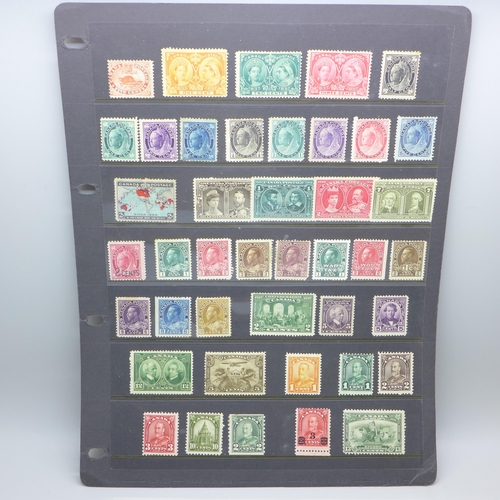 795 - Stamps; early Canada mint stamps on two stock sheets, (with a catalogue value of over £1,700)