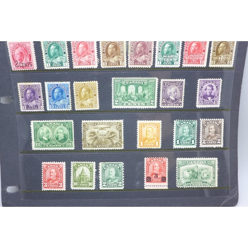 795 - Stamps; early Canada mint stamps on two stock sheets, (with a catalogue value of over £1,700)