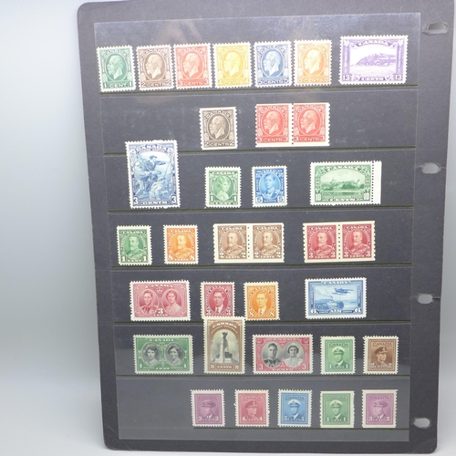 795 - Stamps; early Canada mint stamps on two stock sheets, (with a catalogue value of over £1,700)