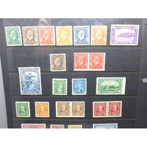 795 - Stamps; early Canada mint stamps on two stock sheets, (with a catalogue value of over £1,700)