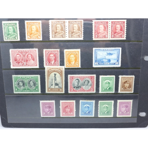 795 - Stamps; early Canada mint stamps on two stock sheets, (with a catalogue value of over £1,700)