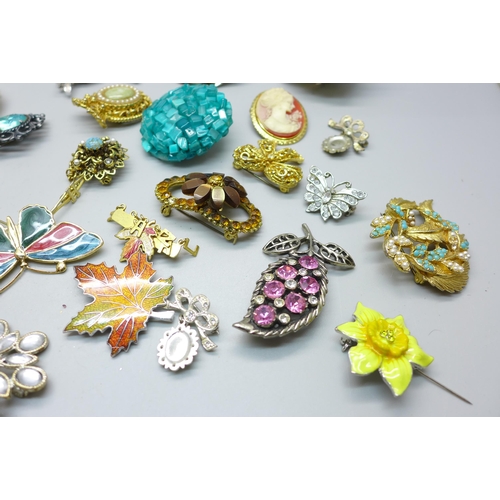 851 - A collection of brooches