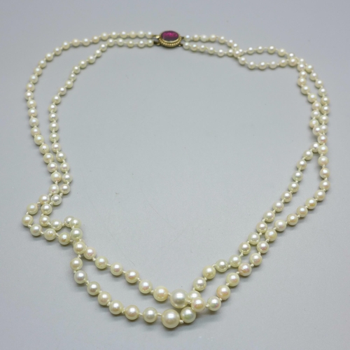 888 - A graduated double string pearl necklace, the yellow metal clasp set with a pink stone, tests as ame... 