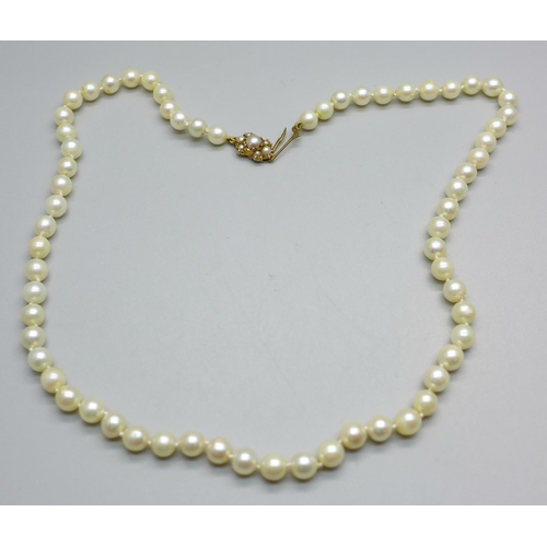 889 - A cultured pearl necklace set on a 9ct gold clasp, 23.9g