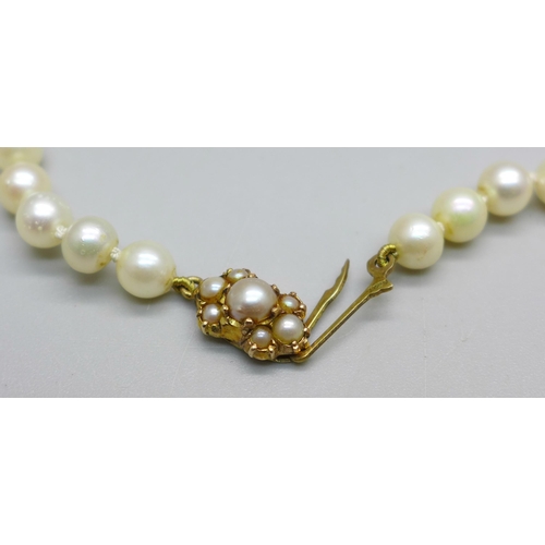 889 - A cultured pearl necklace set on a 9ct gold clasp, 23.9g