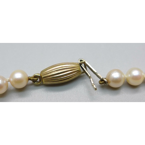 890 - A cultured pearl bracelet with 9ct gold clasp