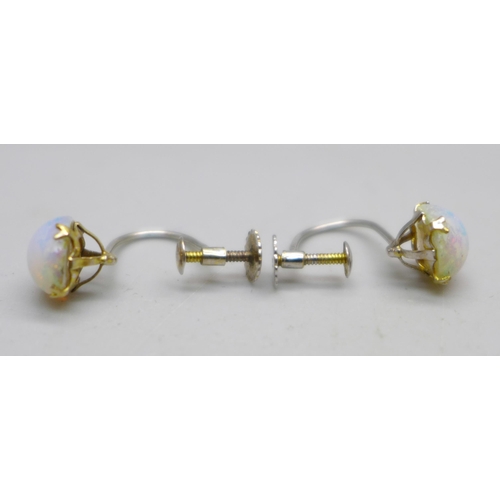 981 - A pair of 9ct gold screw back earrings