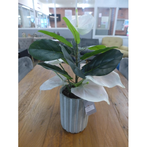 1348 - An artificial Anthurium and Ficus potted arrangement, H 50cms (54863117)   #