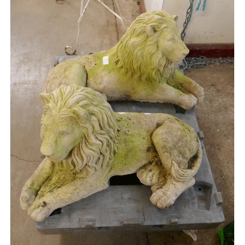 403 - A pair of concrete garden figures of recumbent lions