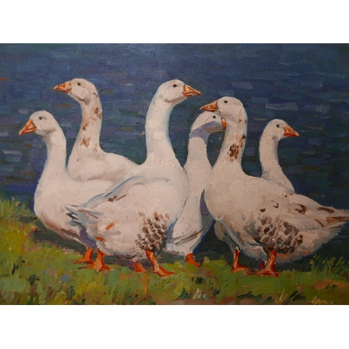 27 - Malcolm Coward (b.1948), Gaggle of Geese, oil on canvas, signed lower right, 39 x 59cms, framed