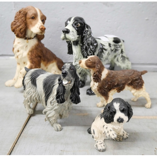 1078 - A Country Artists springer spaniel and four other model spaniels **PLEASE NOTE THIS LOT IS NOT ELIGI... 