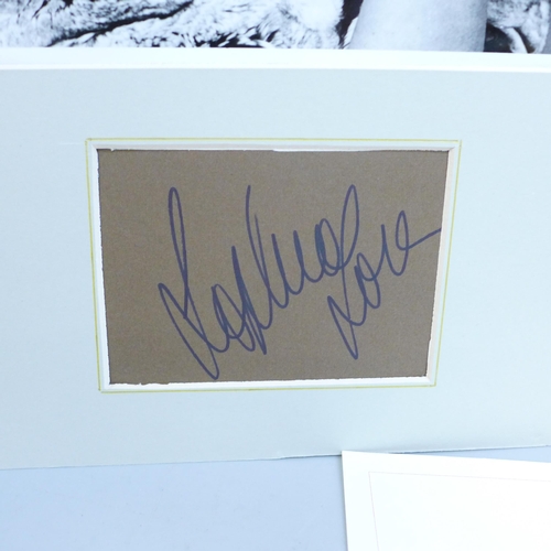 673 - An autograph selection; Sophia Loren, Doris Day letter and Bob Hoskins