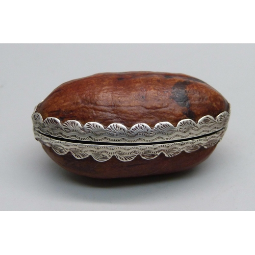 840 - A Victorian silver mounted snuff box made from a nut, Birmingham 1888, Nathan & Hayes