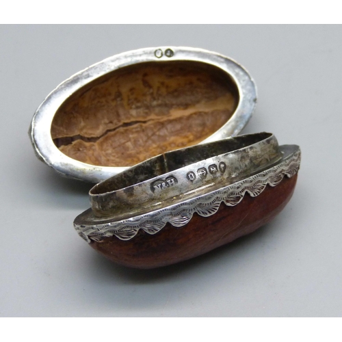 840 - A Victorian silver mounted snuff box made from a nut, Birmingham 1888, Nathan & Hayes