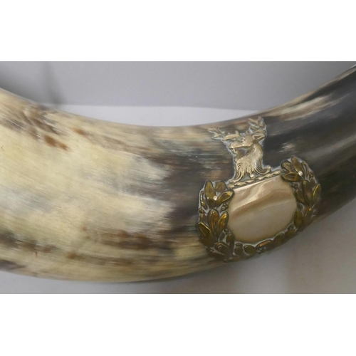 300 - A hunting horn with silver plated mounts, 34cms l