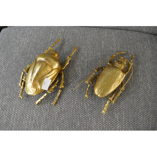 1422 - Two gold ornamental beetles