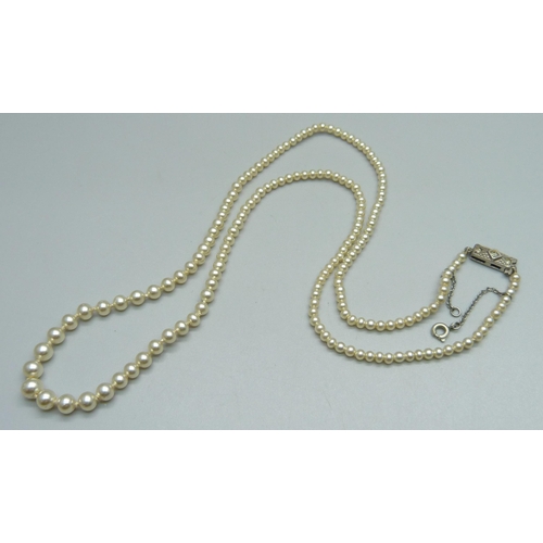 1041 - A string of cultured pearls with diamond set white metal clasp