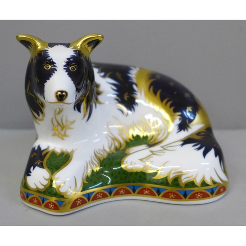 659 - A Royal Crown Derby Border Collie paperweight, limited edition 459/2500, signed by Jane James with g... 